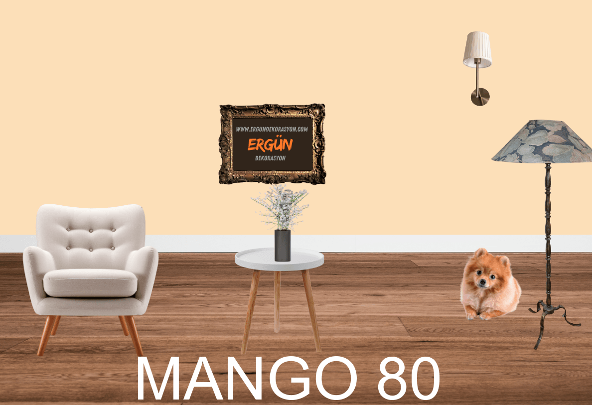 MANGO 80