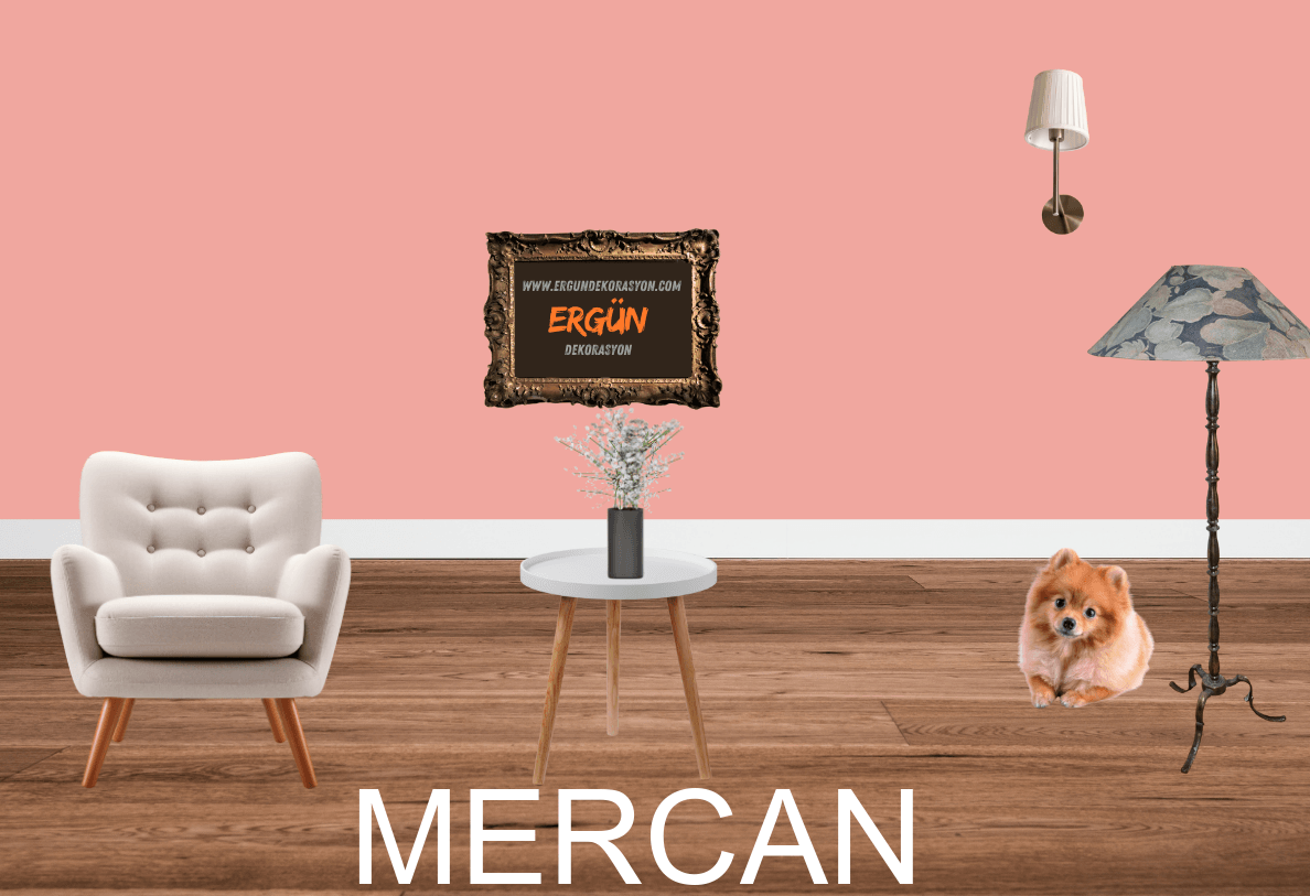 MERCAN
