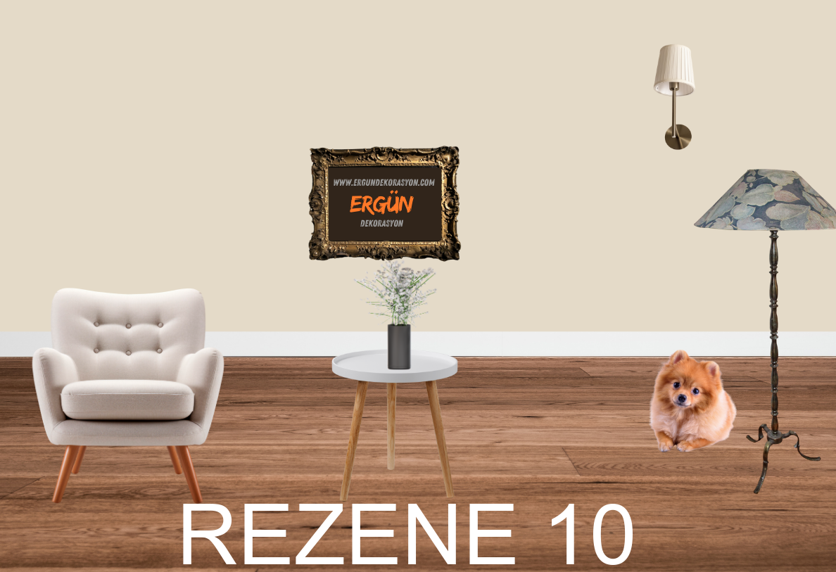 REZENE 10