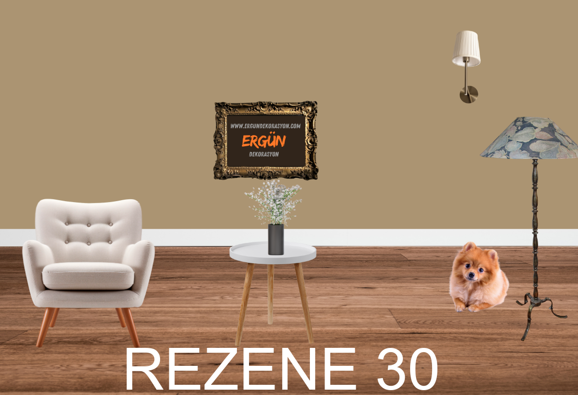 REZENE 30
