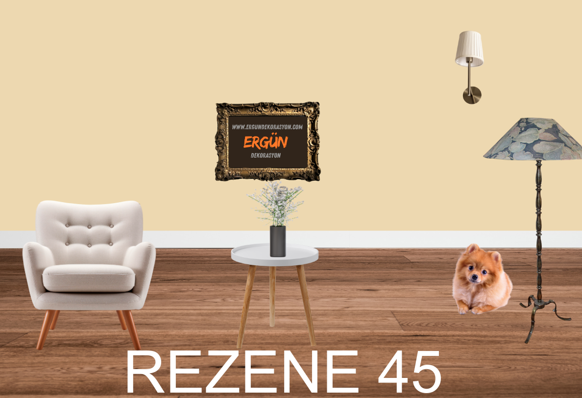 REZENE 45