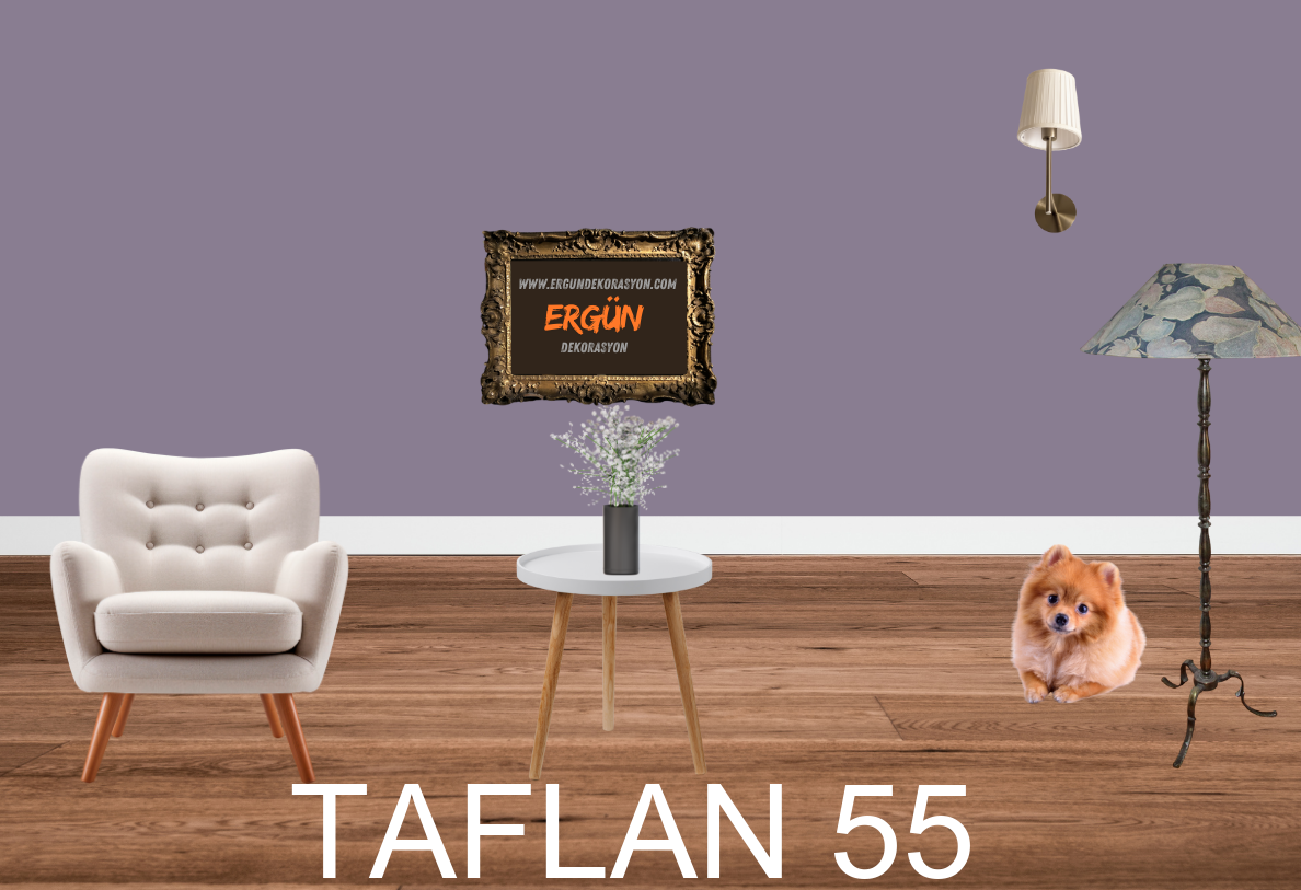 TAFLAN 55