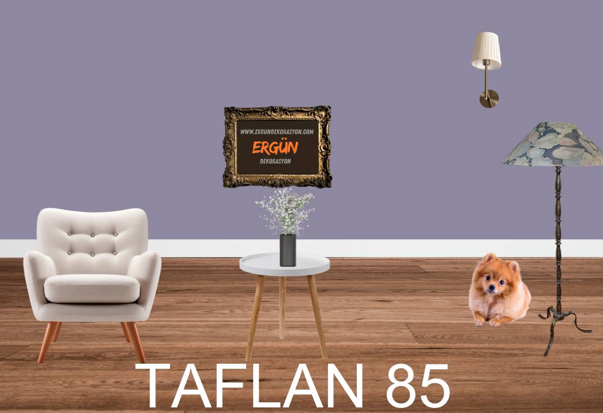 TAFLAN 85