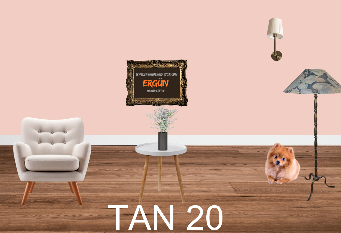 TAN 20