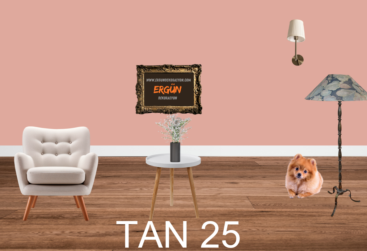 TAN 25