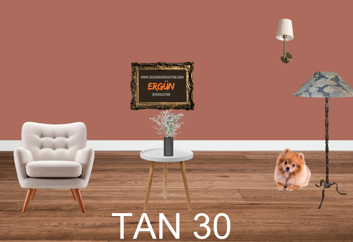 TAN 30