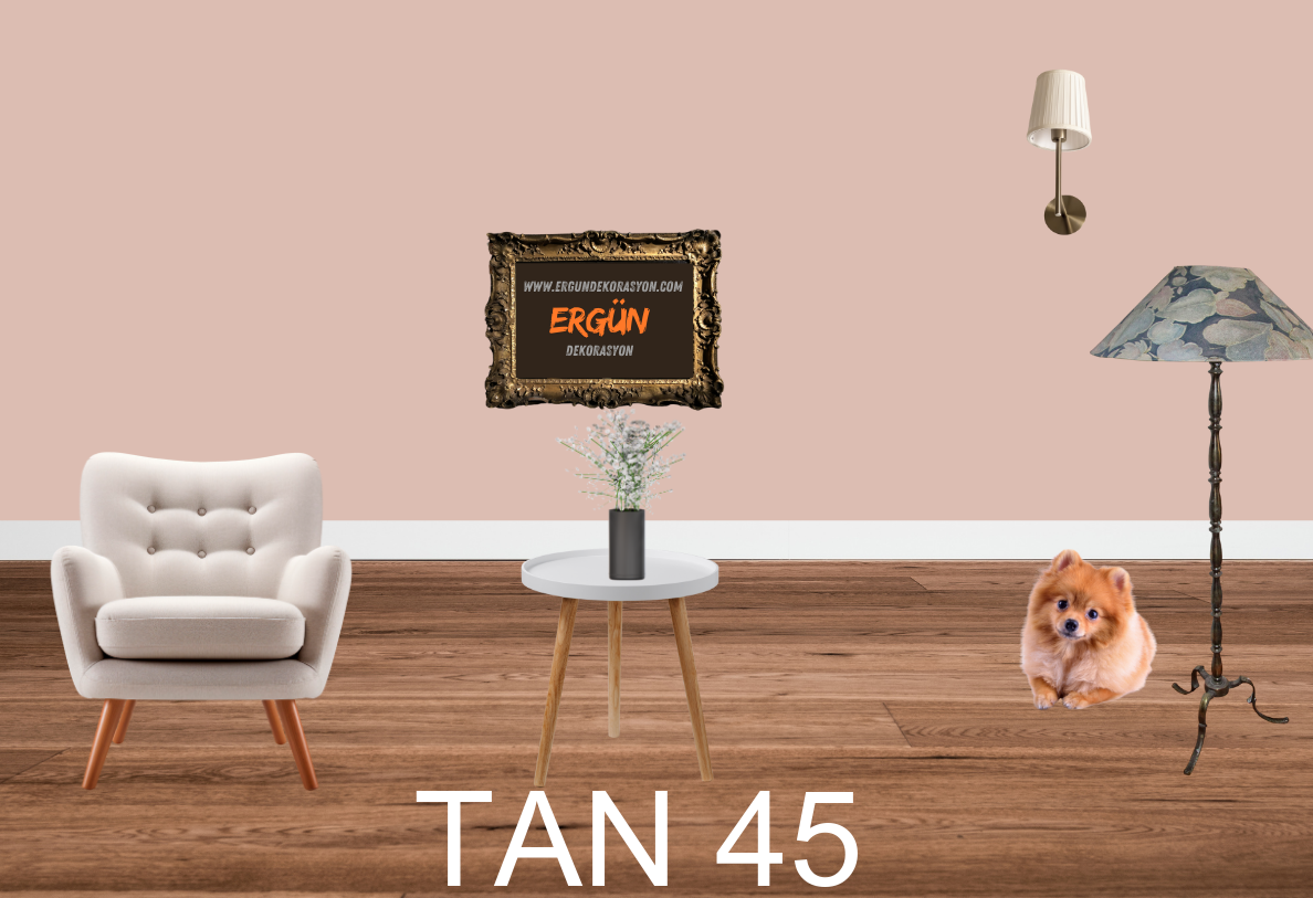 TAN 45