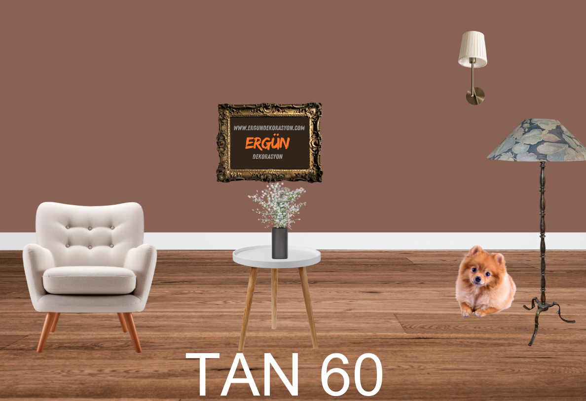 TAN 60