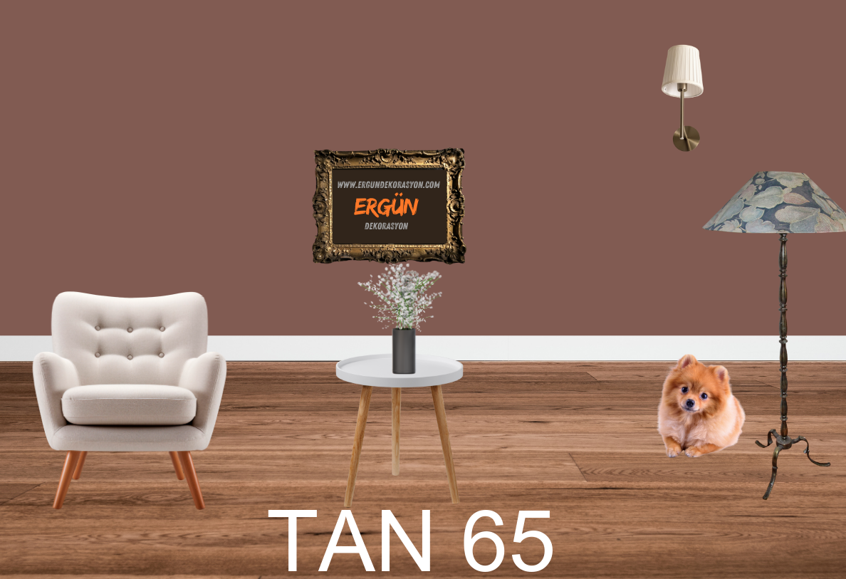 TAN 65