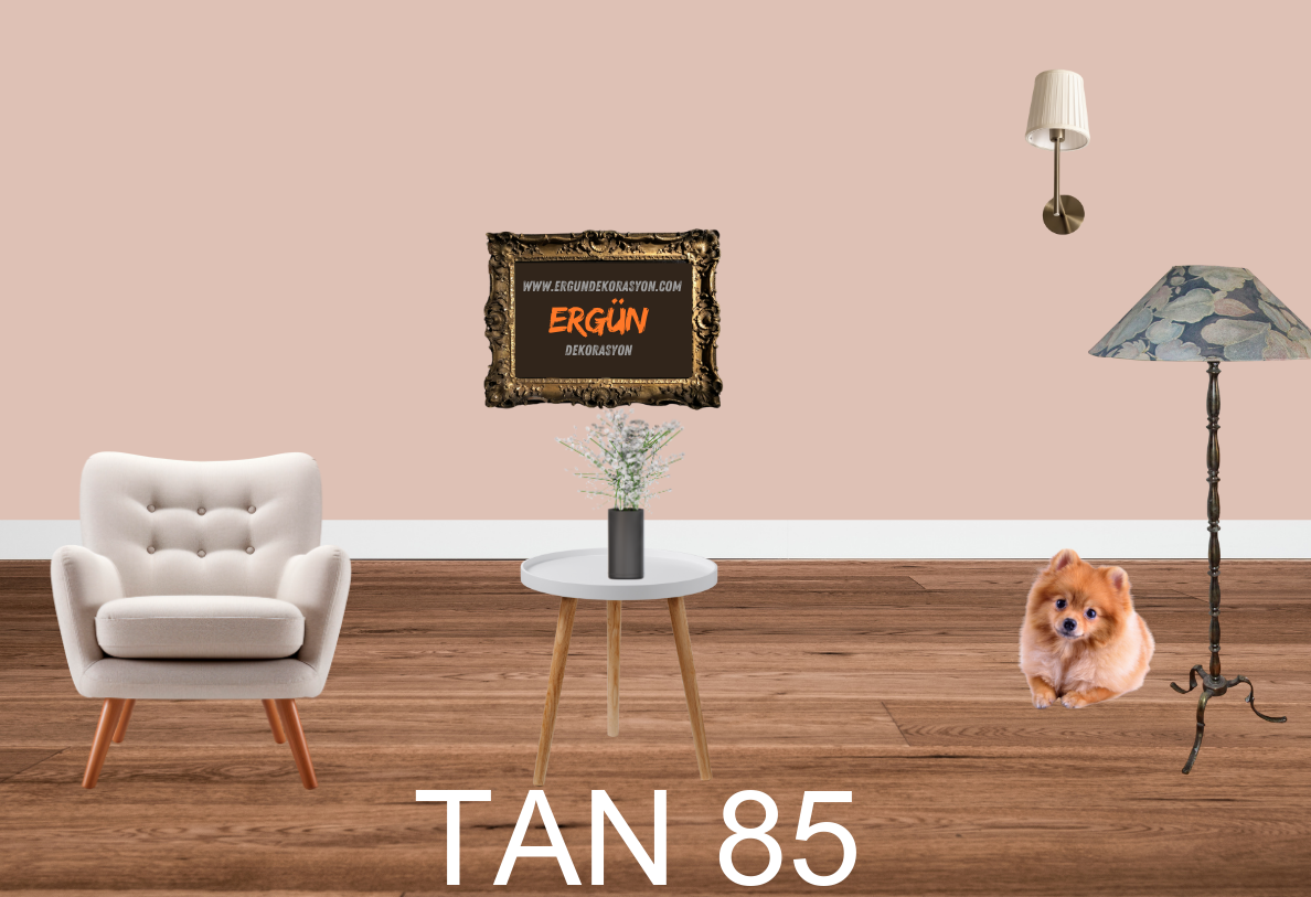 TAN 85